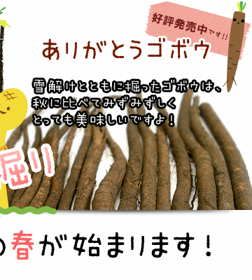 �շ��ꥴ�ܥ�
